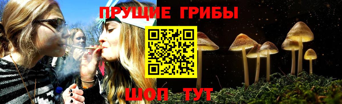 Галлюциногенные грибы GOLDEN TEACHER  Вход с VPN  Павлово  Псилоцибиновые грибы Psilocybe 